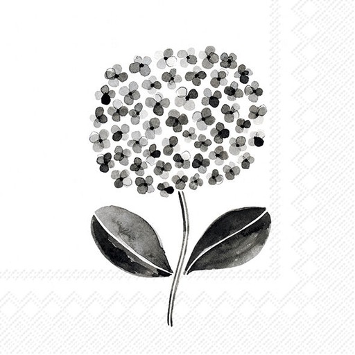 All About Black & White Lunch