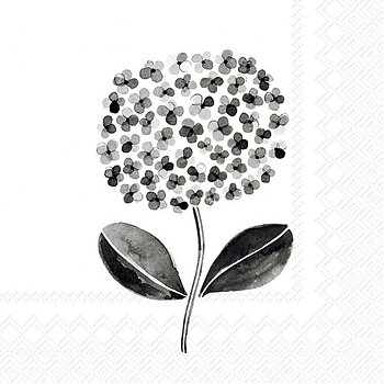 All About Black & White Lunch
