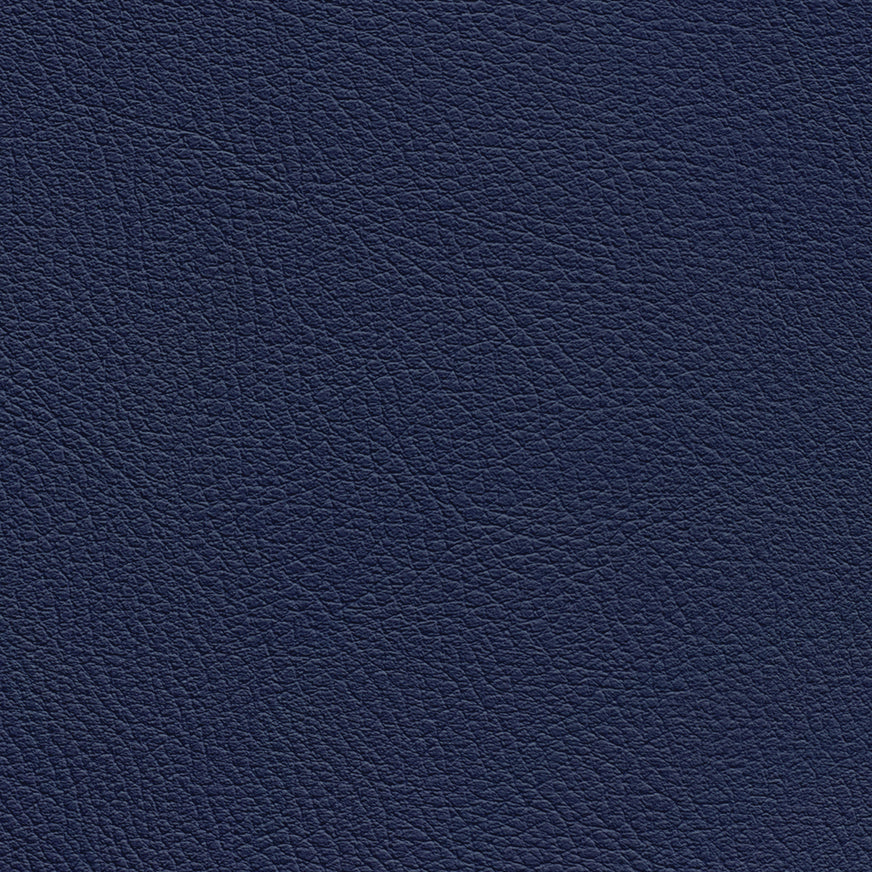 Chance Navy