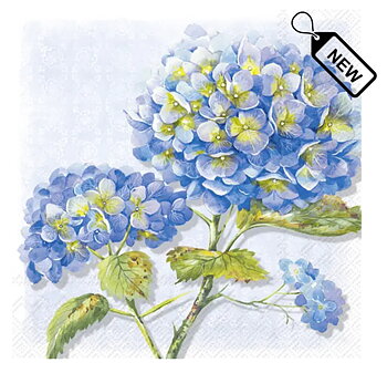 Lorea Blue Lunch 
