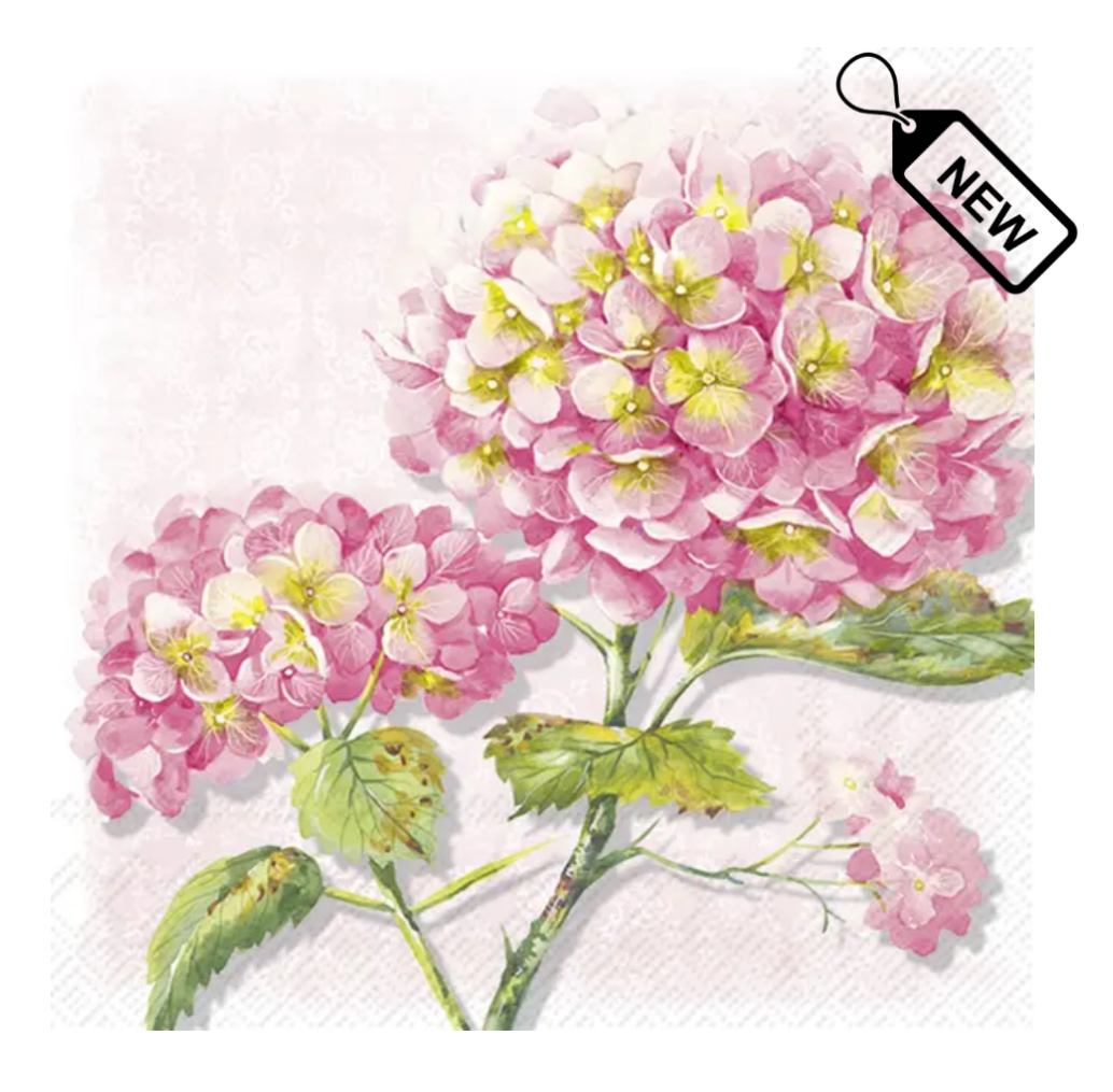 	Lorea Rose Lunch - 2
