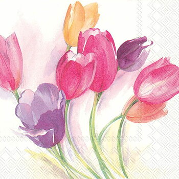 Tulip Season Lunch