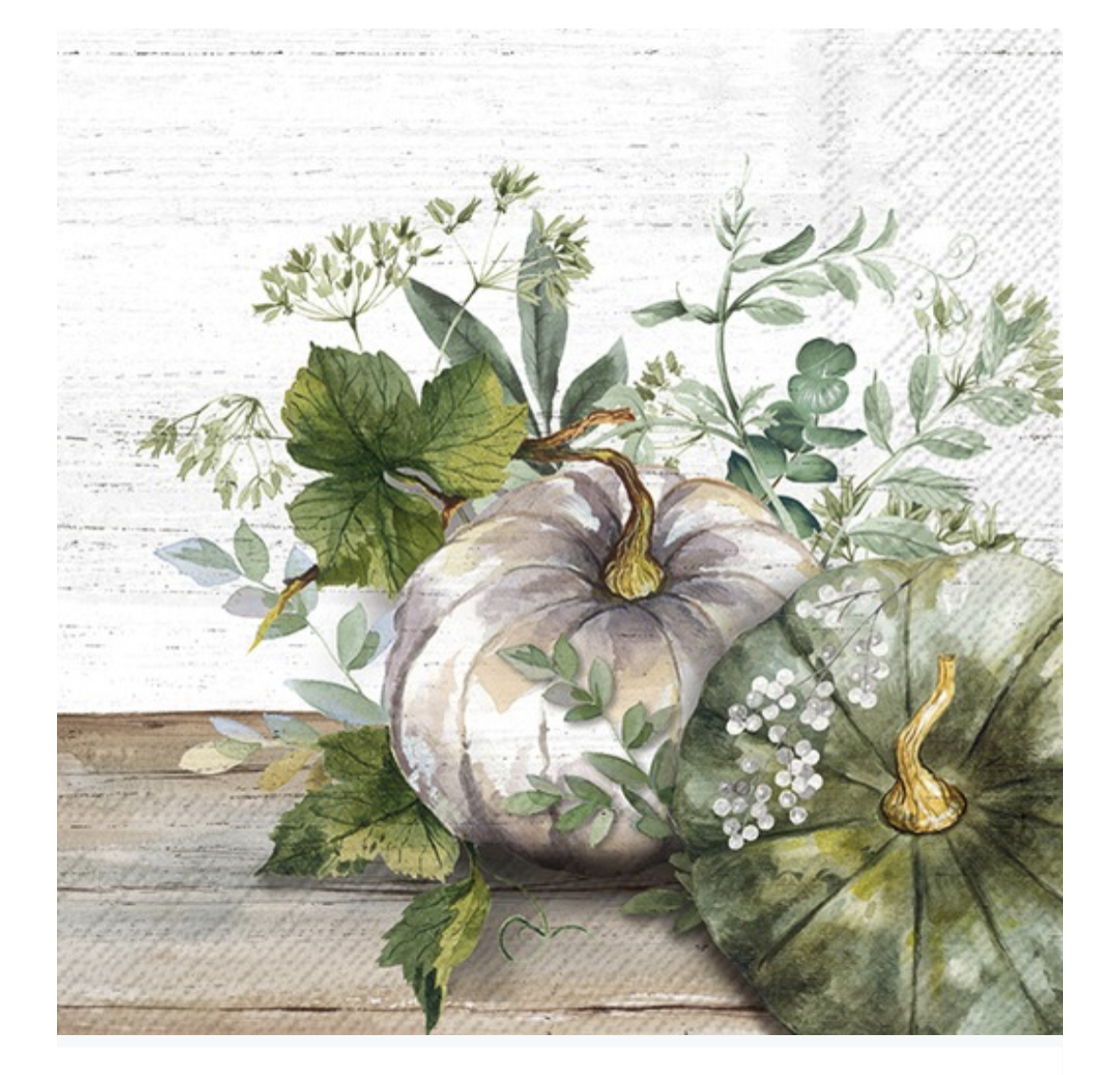 Green and White Pumpkin Cream