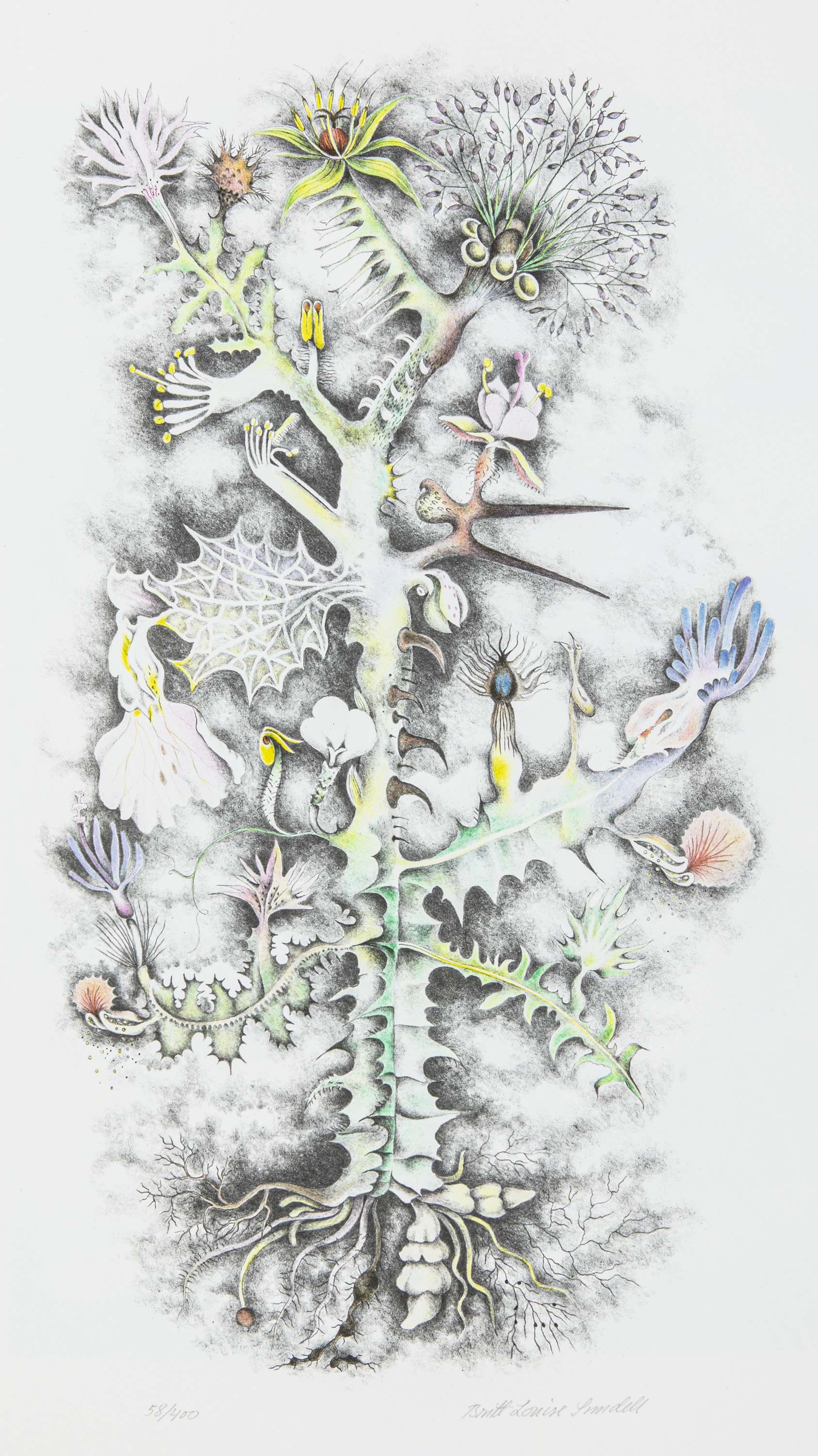 Planta Pluralis - 2