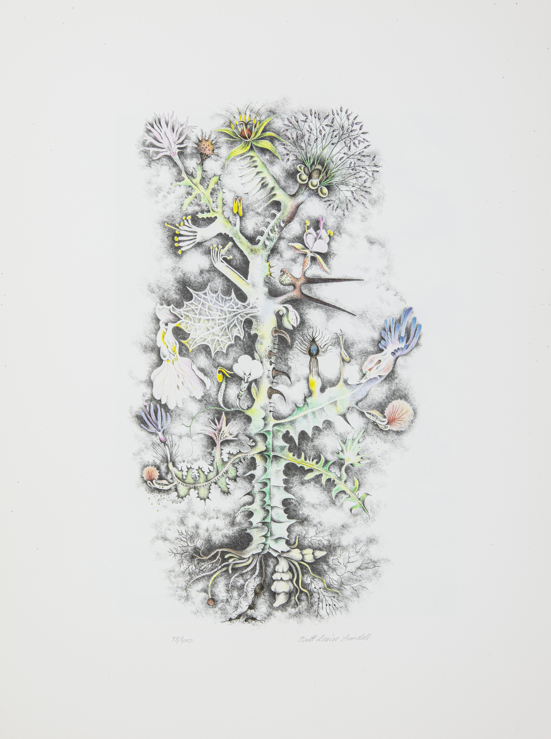 Planta Pluralis