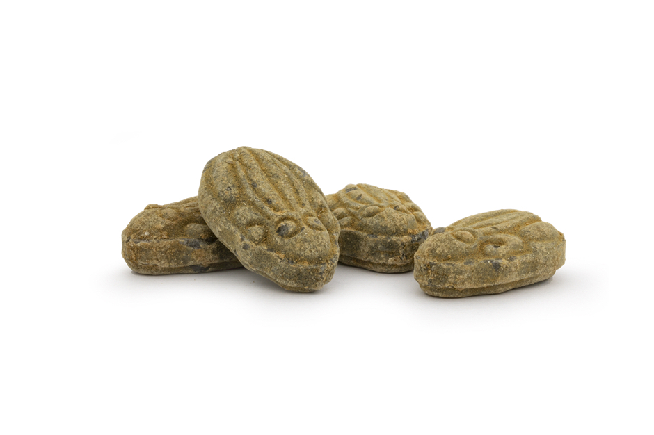 Salta Grodor - A bag of jumping joy - 2