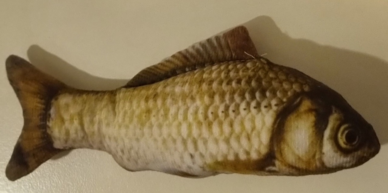 Kattleksak, Karp