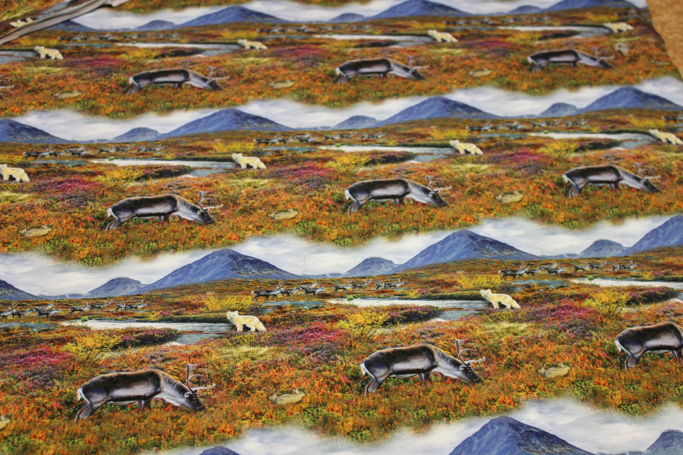 Trikå - Fjäll med renar