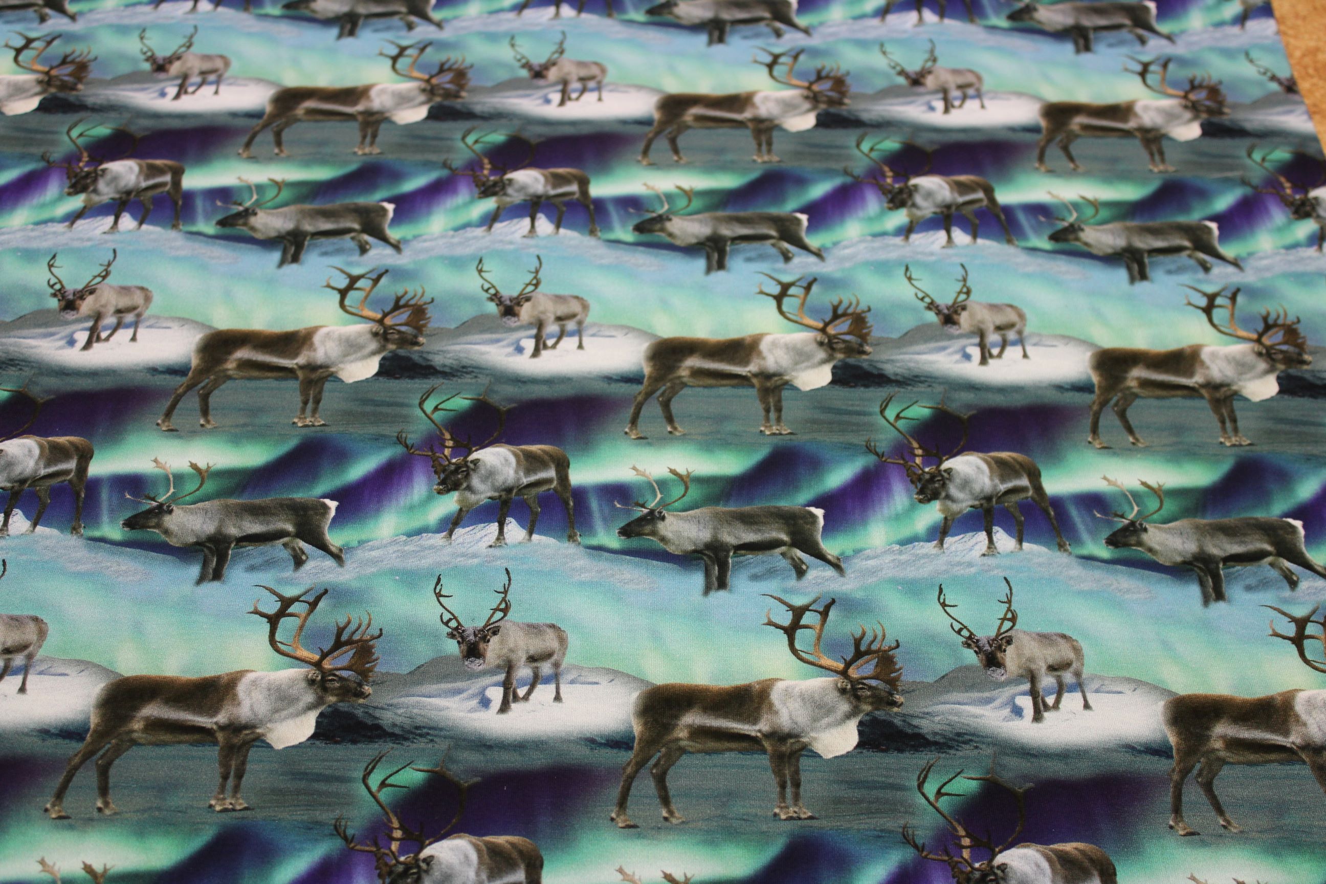 Trikå - Norrsken med renar