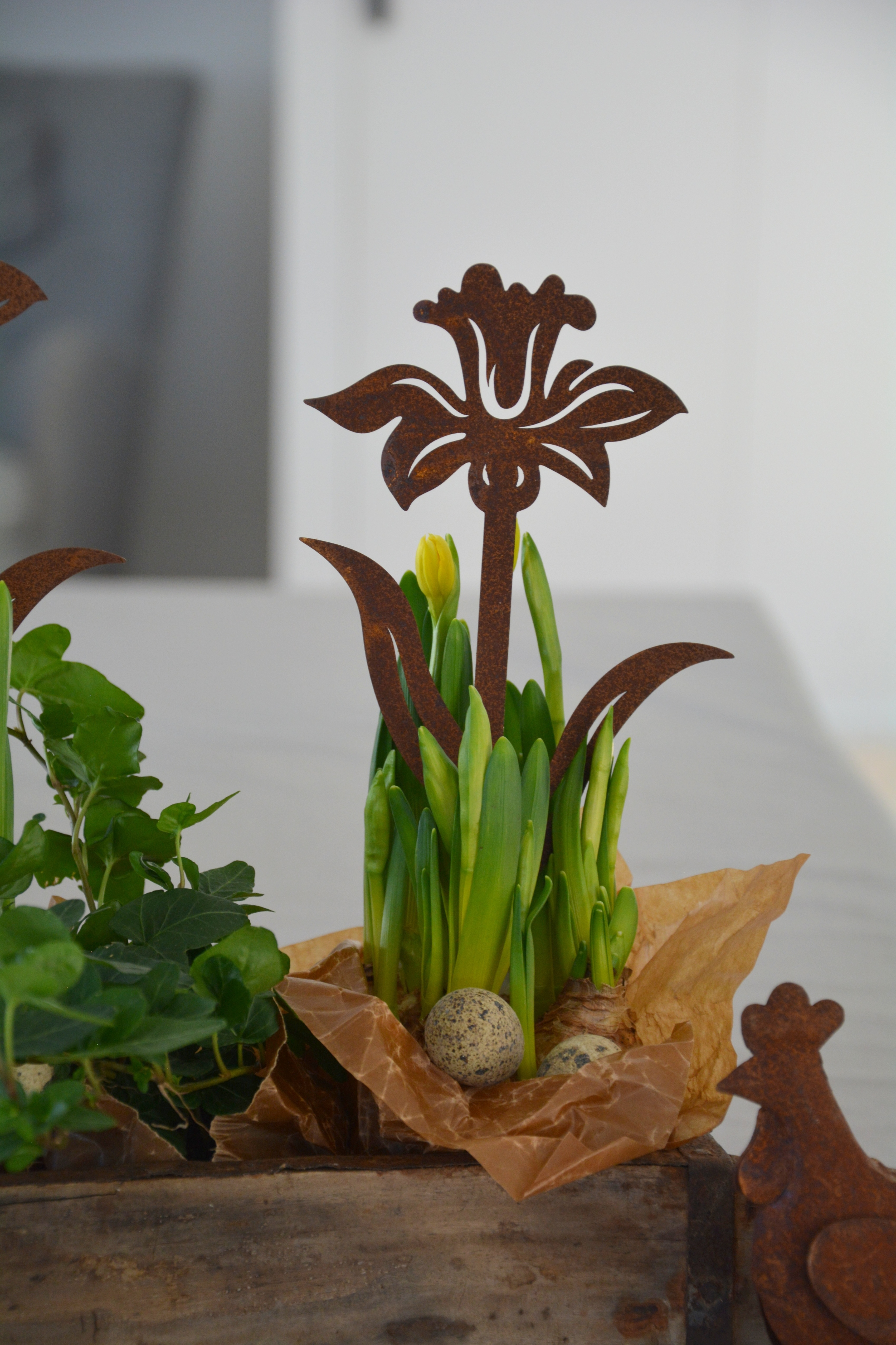 Påsklilja / Narciss i rostig plåt 30 cm. Sticks