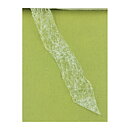 Ribbon  Vintage Transparent