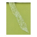 Ribbon  Vintage Transparent