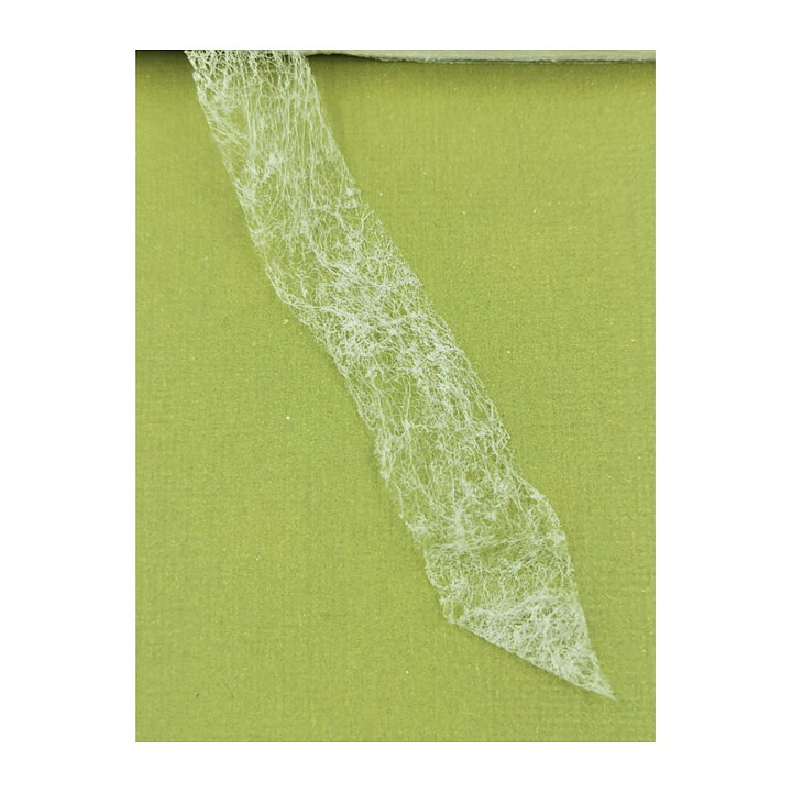Ribbon  Vintage Transparent