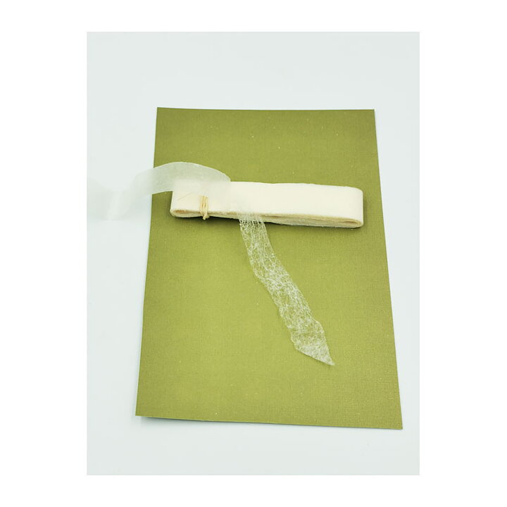 Ribbon  Vintage Transparent