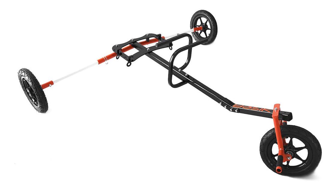 Kangook Basik trike 