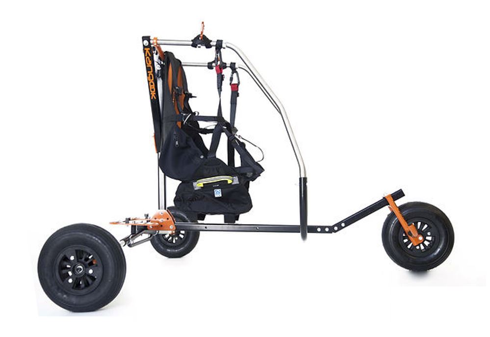 Kangook Basik trike 