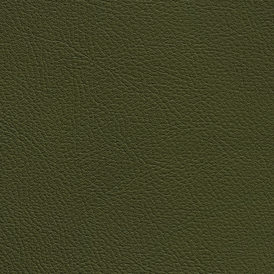 Chance Militar