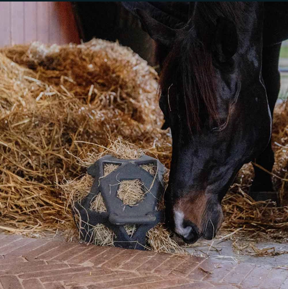 Kentucky höboll