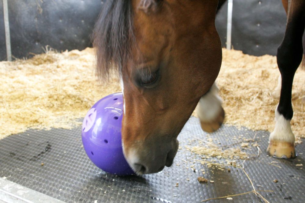 Likit snack-a-ball flera färger - 5