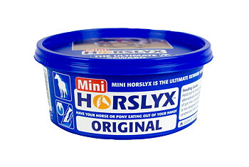 Horslyx slicksten mini original