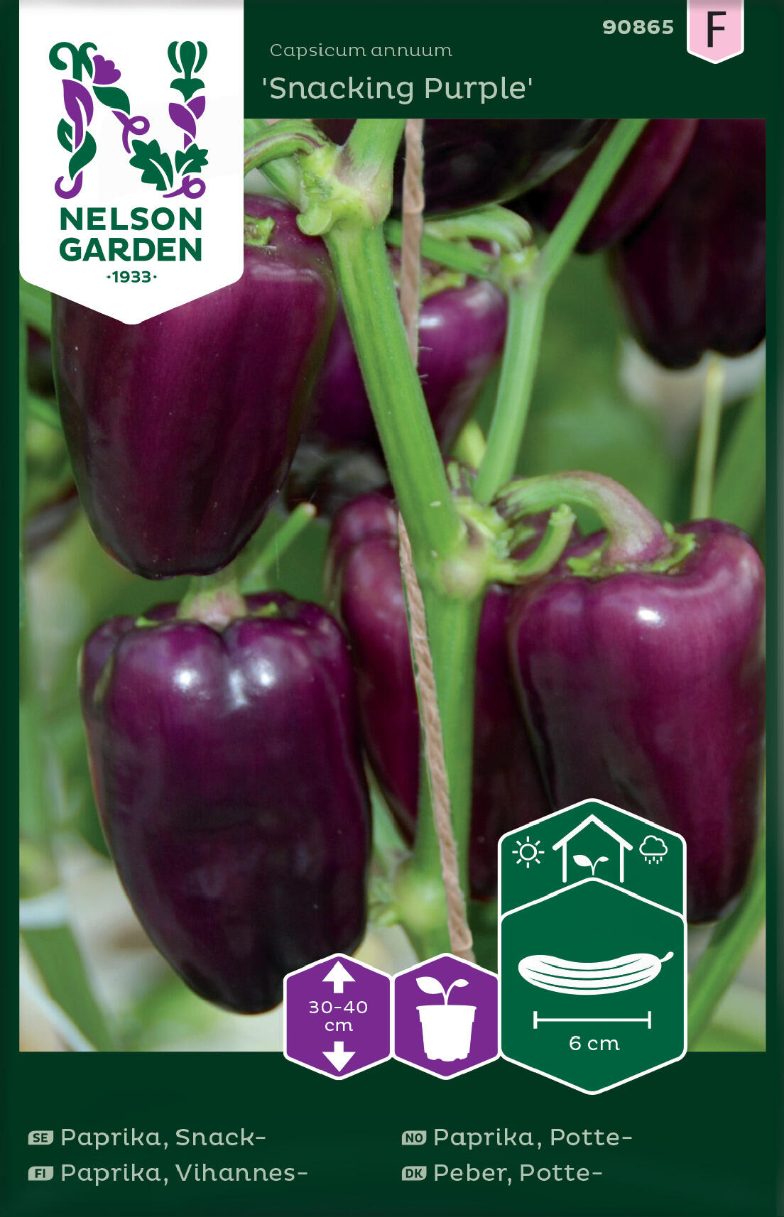 Snackpaprika Snacking Purple