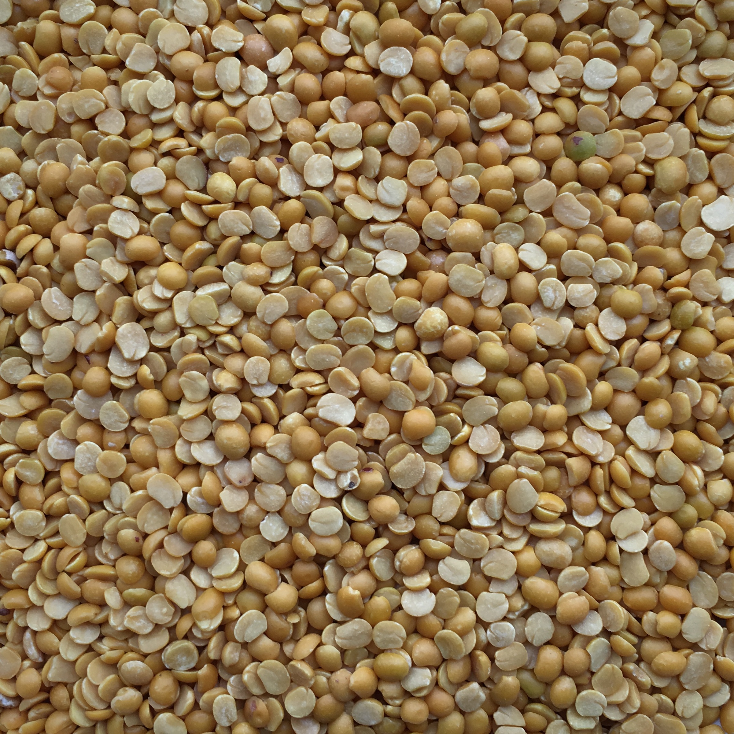 Toor Dal Org. 1kg, Seyfrieds