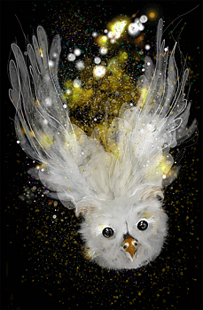 Sibyl