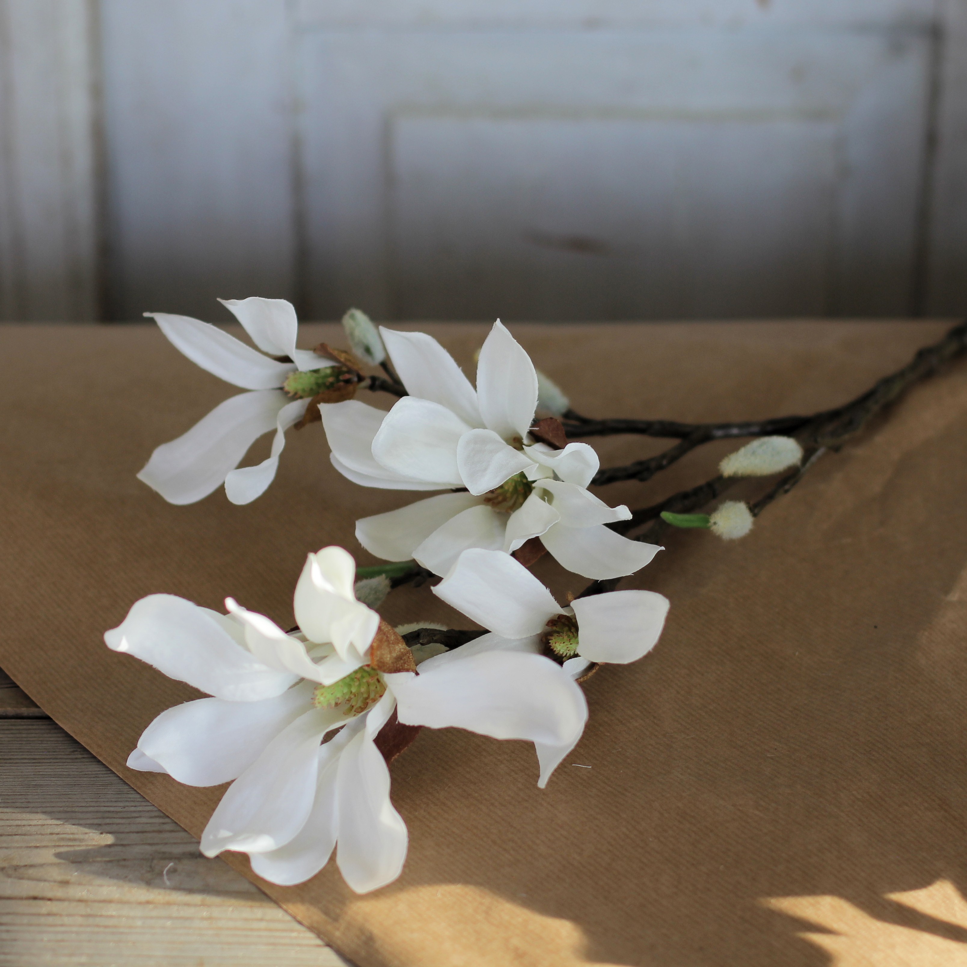 Magnolia Kvist 50 cm - Vit