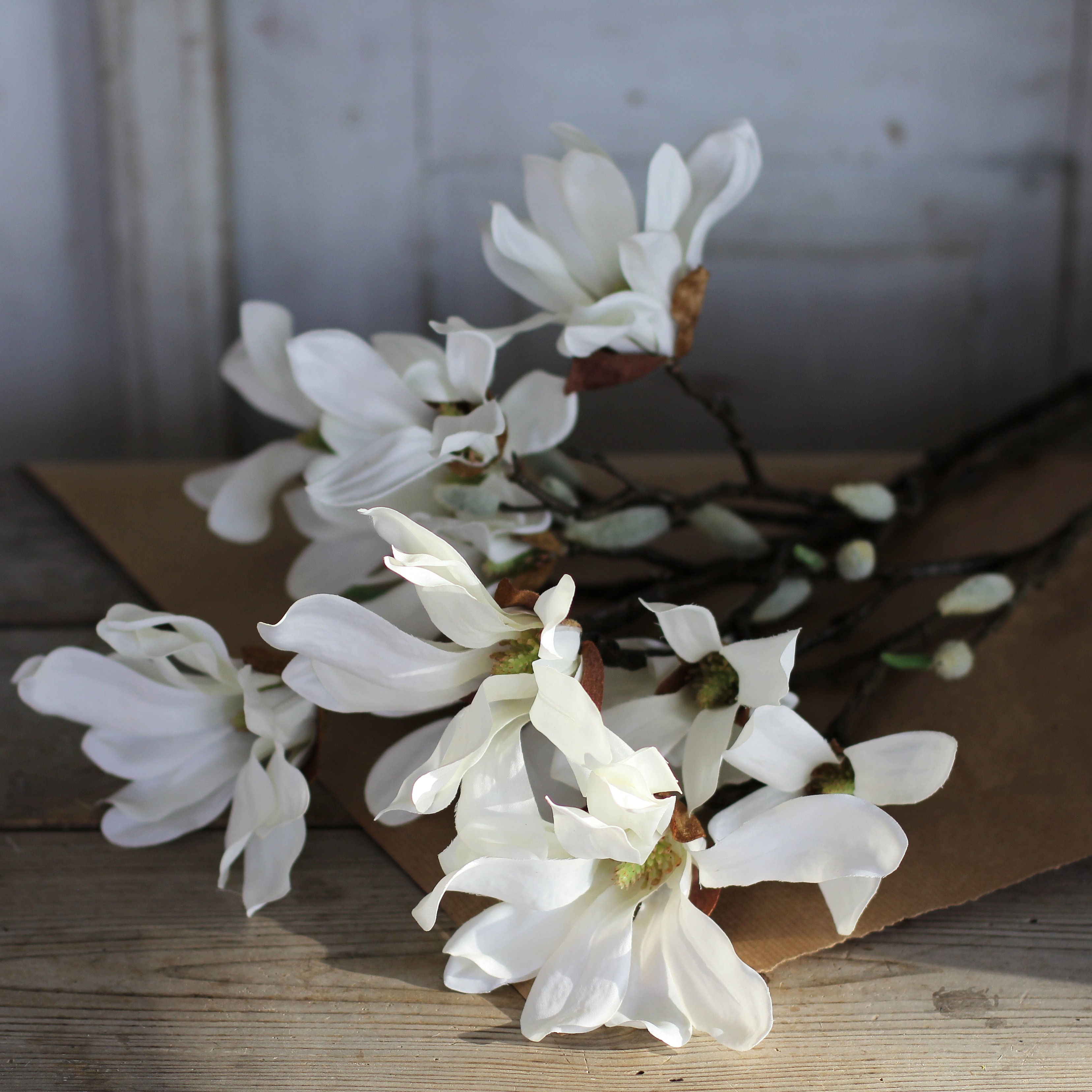 Magnolia Kvist 50 cm - Vit - 2