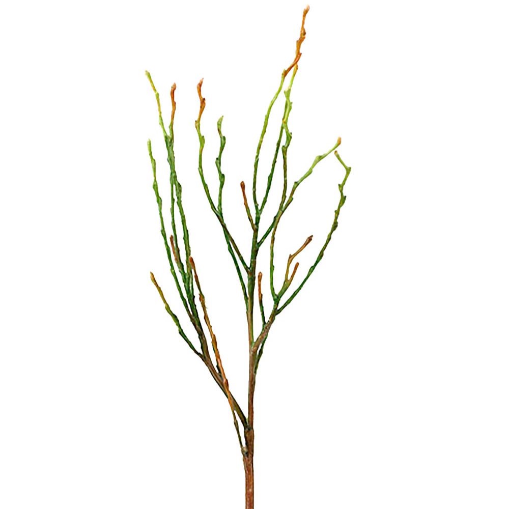 Blåbärskvist 35 cm - 3