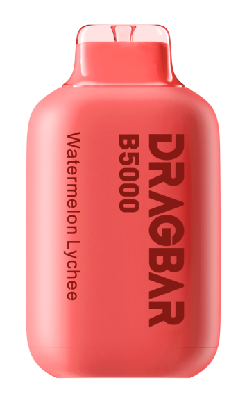 Dragbar B5000 Nikotinfri Vape - Watermelon & Lychee