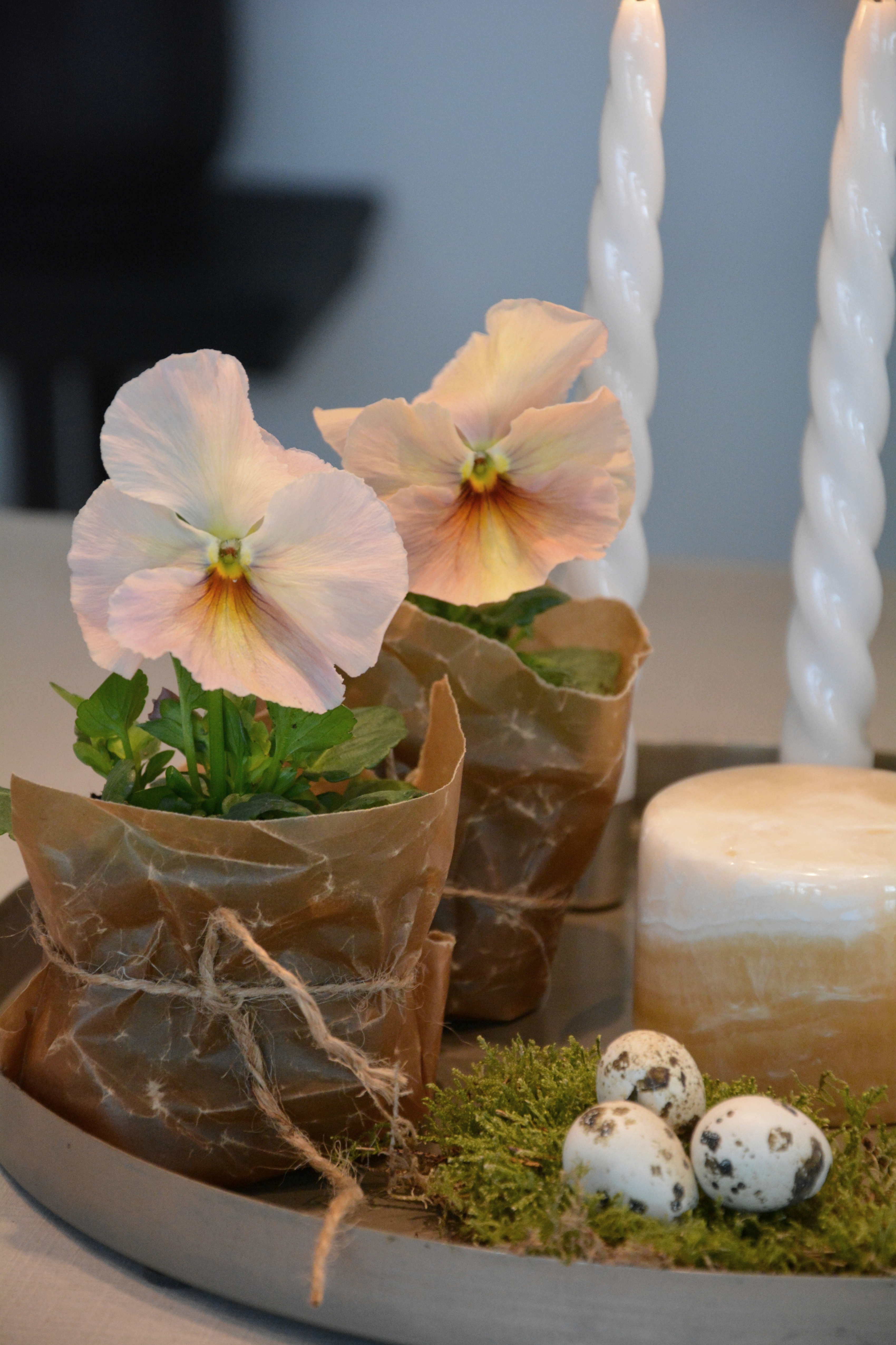 Vaxat papper 100*56 cm