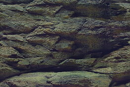 Aqua Nova - Rock/Plants 60x30cm