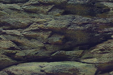 Aqua Nova - Rock/Plants 60x30cm