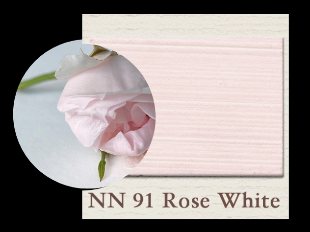 NN91 Rose White