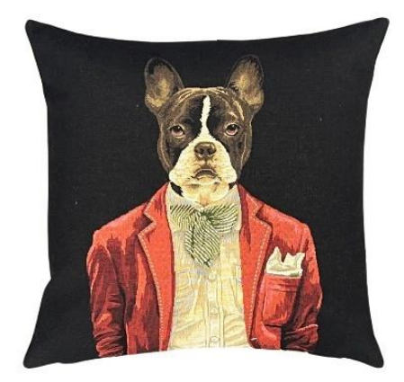 Boston Terrier