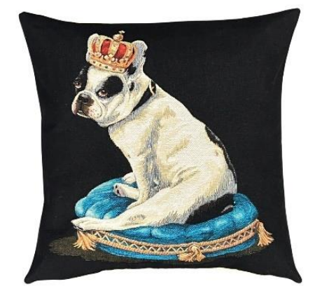 Boston Terrier Royal