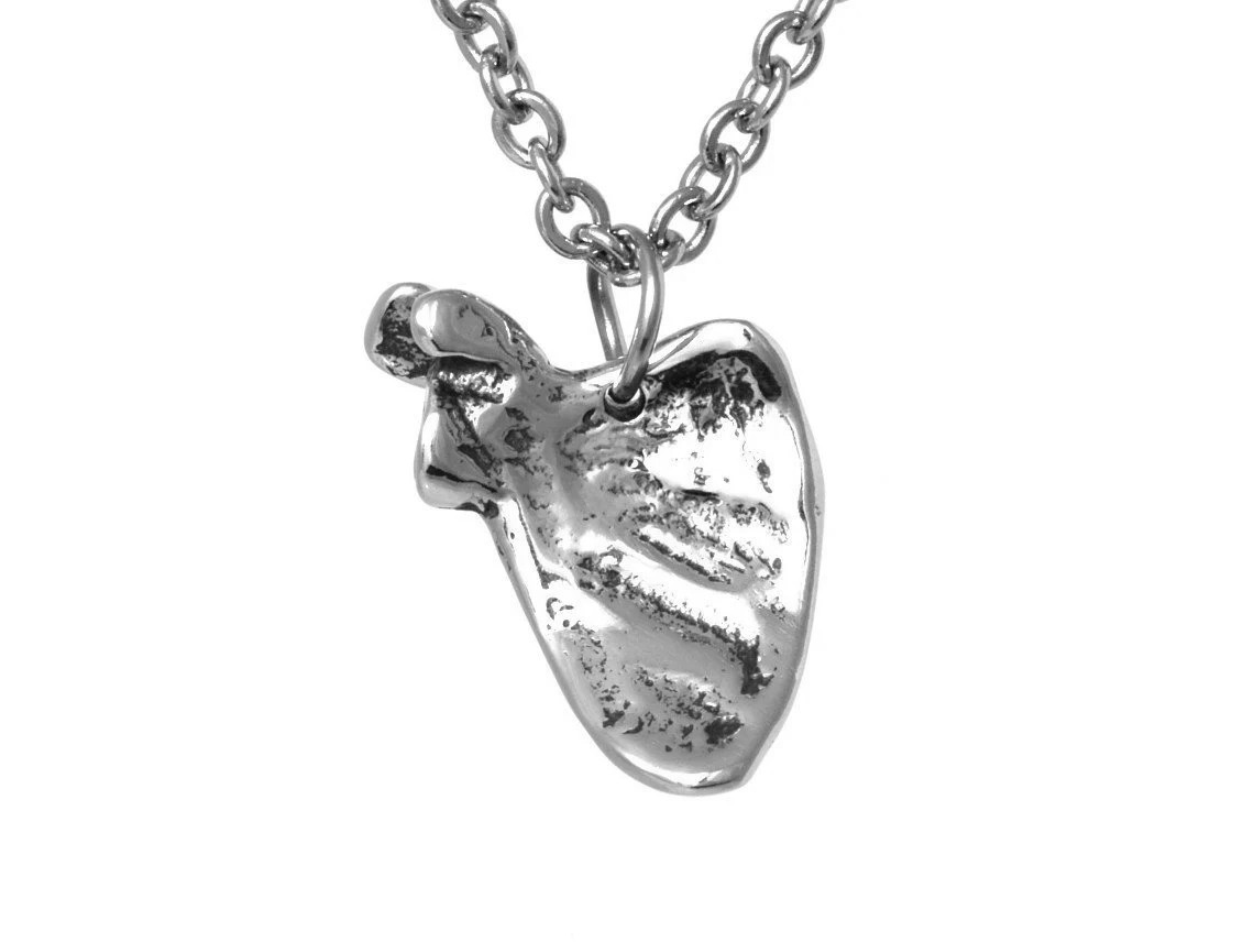 Litet Skulderblad Halsband, Anatomi Smycke i Tenn