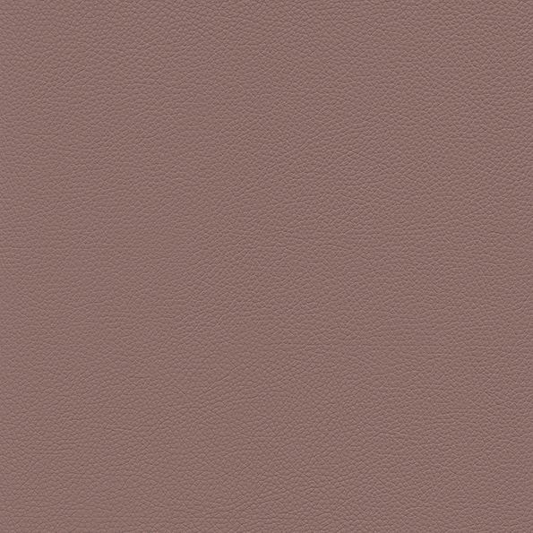 Toronto EN Nougat
