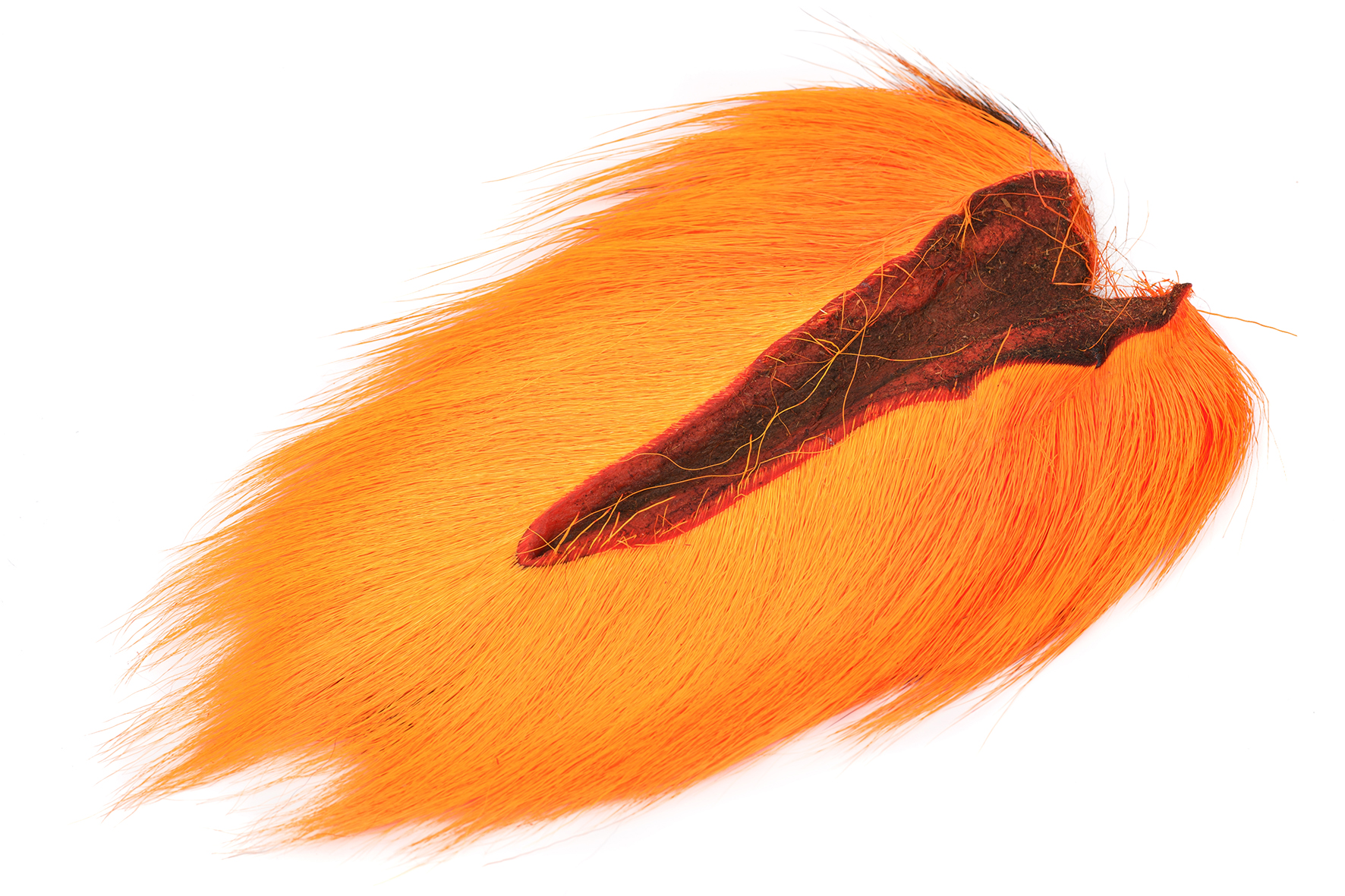 Doetail - 11