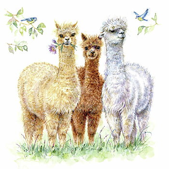 Servett - Alpaca friends