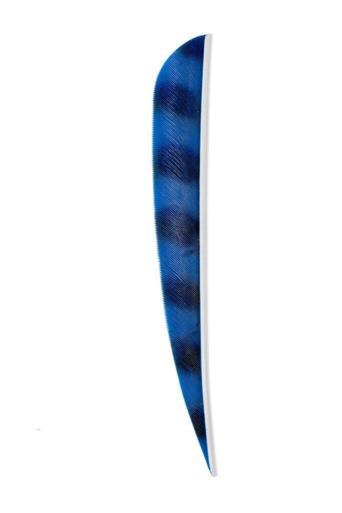 Kalkonfena Barrerad 5" - 3