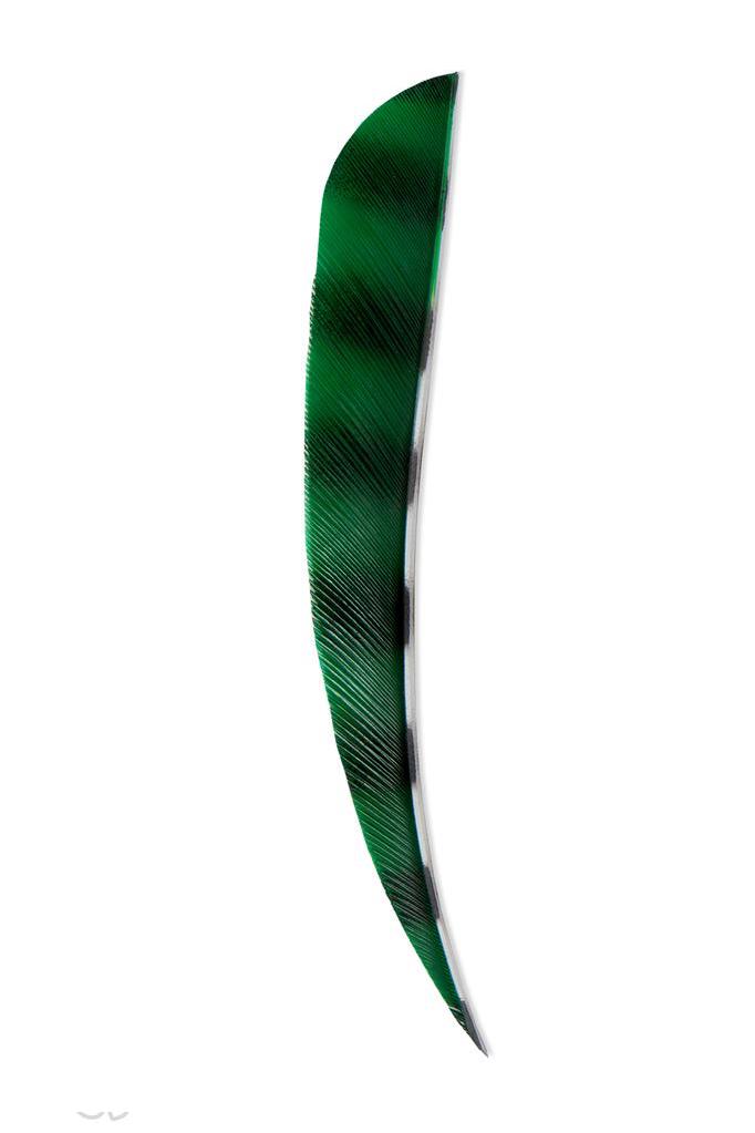 Kalkonfena Barrerad 5" - 8