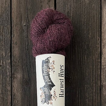 HARVEST HUES ELDER, 100 g