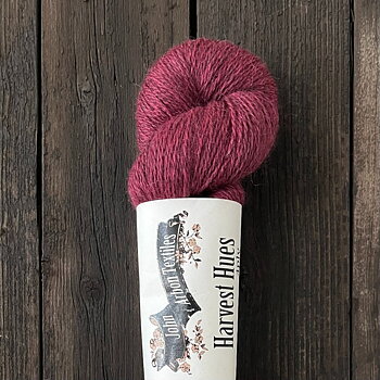 HARVEST HUES LOGANBERRY, 100 g
