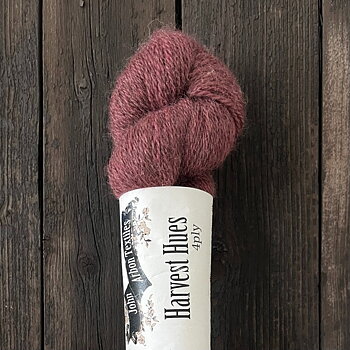 HARVEST HUES ROSEBAY, 100 g