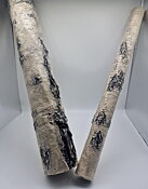 Aquadecor - Standing Log Birch