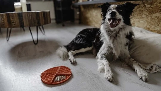 Eat Slow Live Longer Lick Mat Dimensions Circle - 3