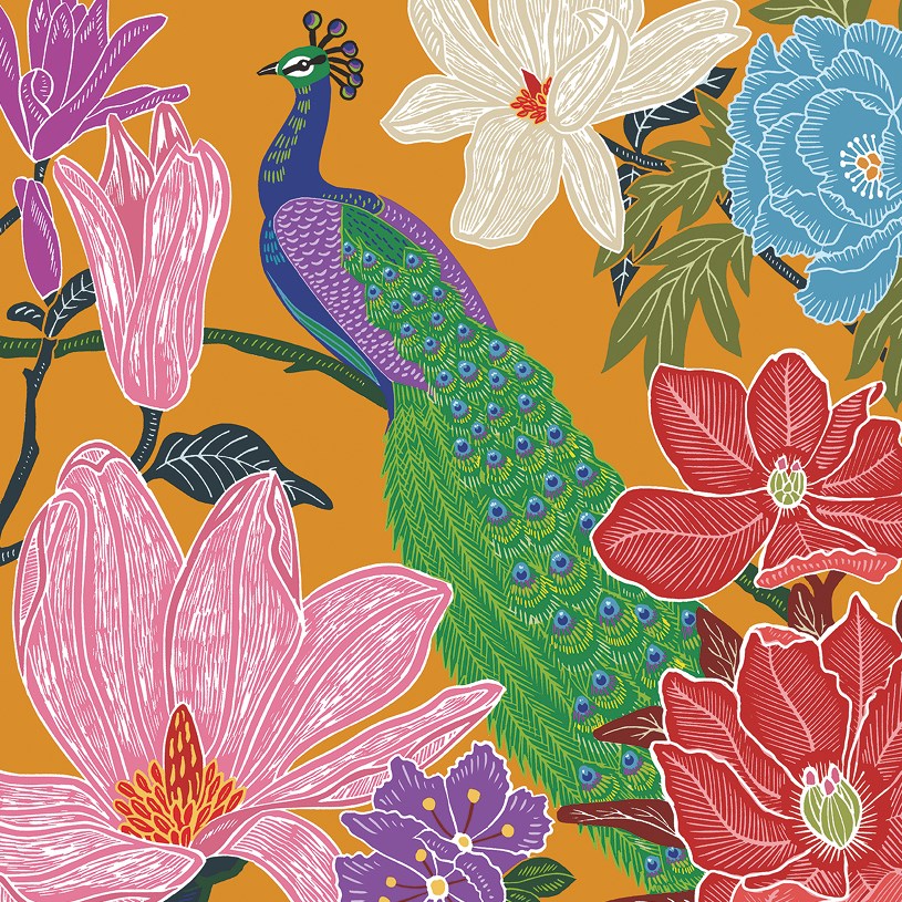 Peacock, Greeting Card