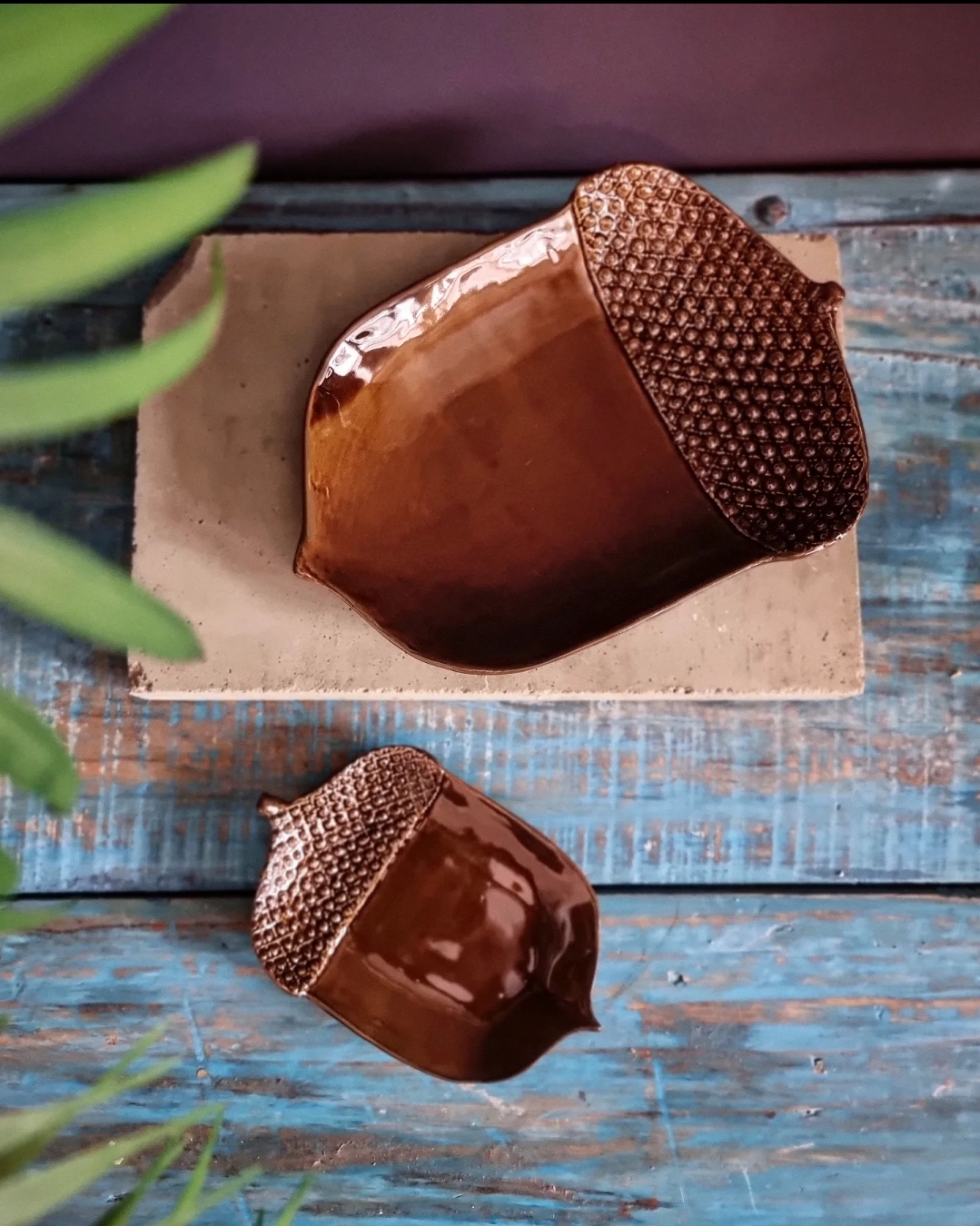 Minifat - Brown Acorn - 3